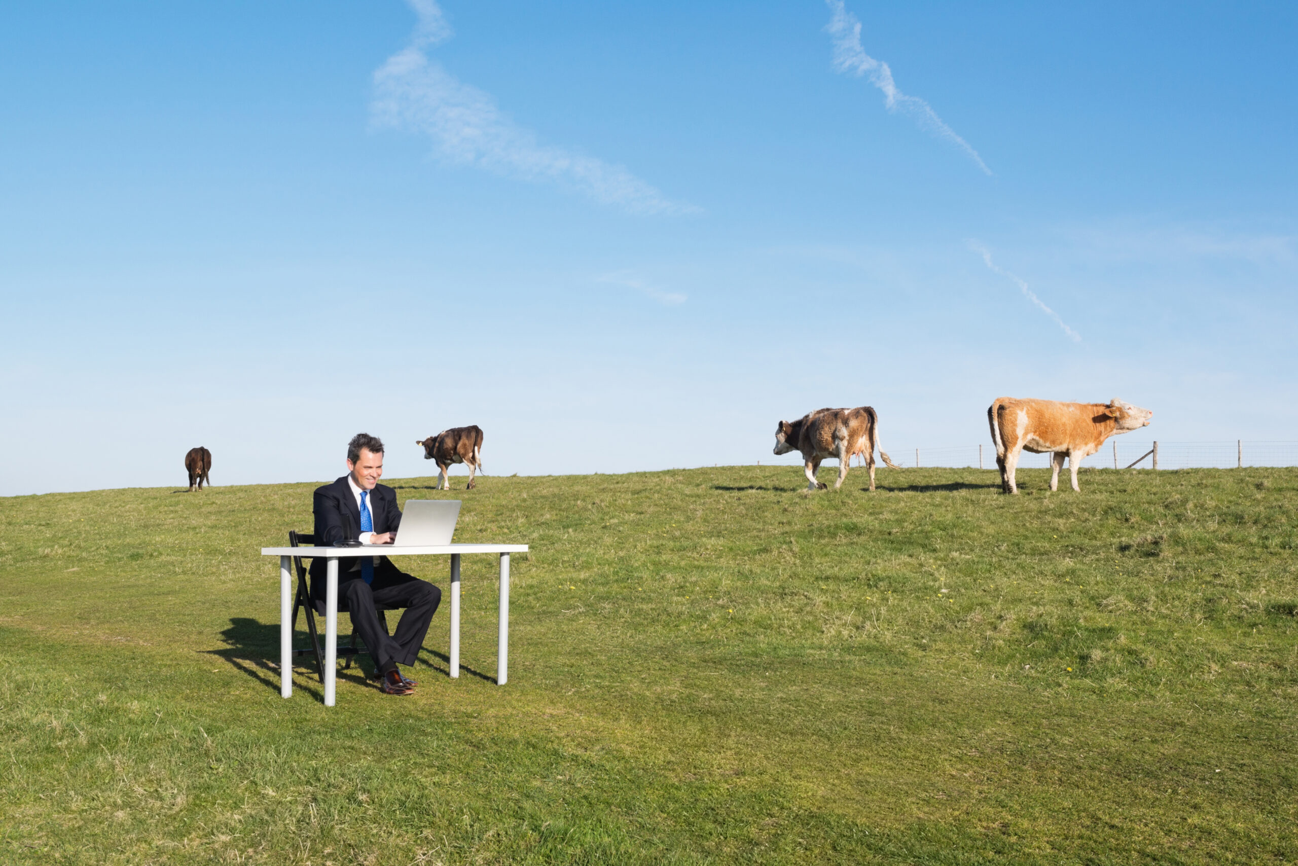 Wide open spaces put traditional offices out to pasture
